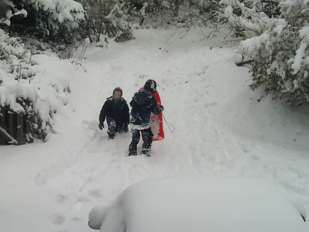 Basingstoke Karate in Snow,