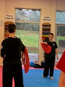 Chinese Tai Chi Fan