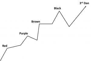 Martial Arts Belts - Black Belt