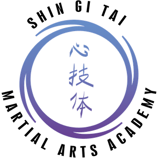 Shin Gi Tai Martial Arts Academy in Winchester